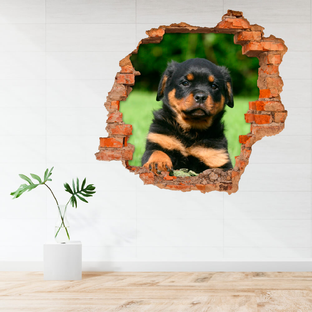 3D KITÖRT FAL FALMATRICA ROTTWEILER