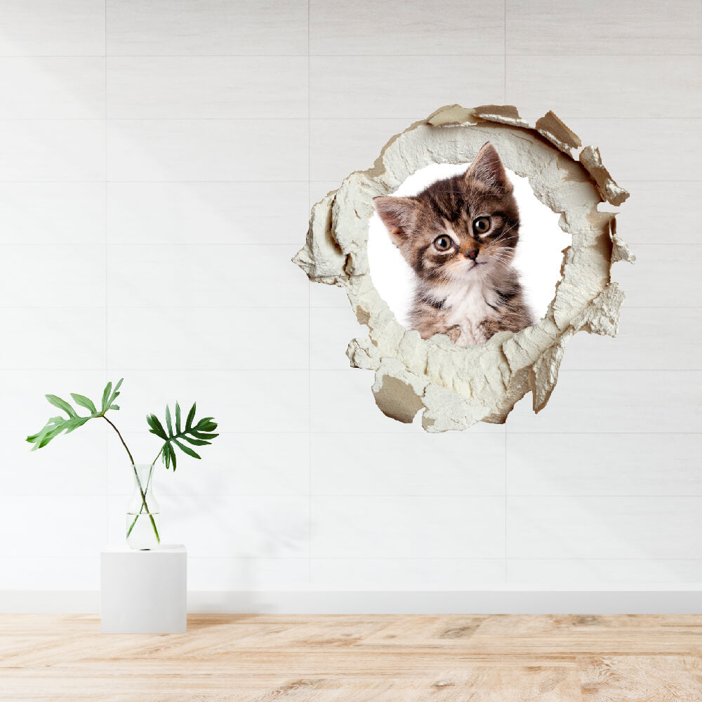 3D KITÖRT FAL FALMATRICA KIS CICA