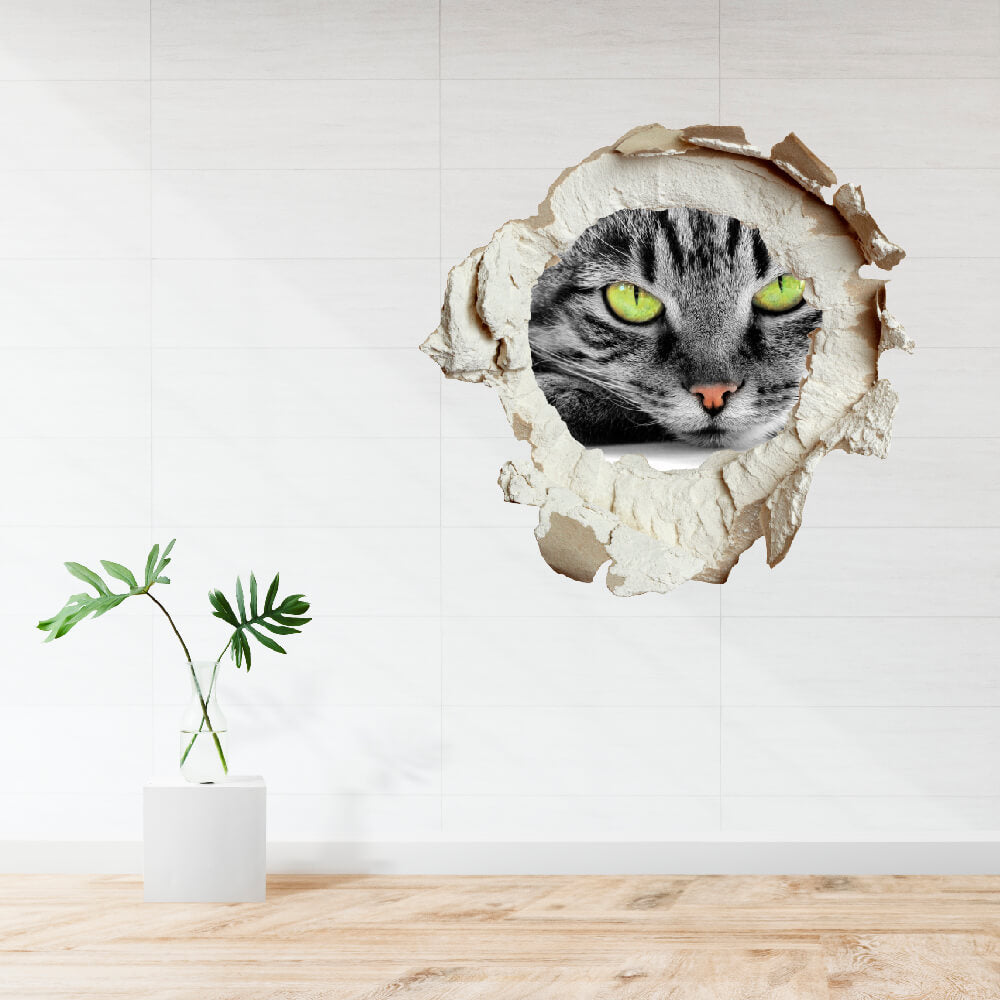 3D KITÖRT FAL FALMATRICA MACSKASZEM