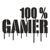 100% GAMER FALMATRICA